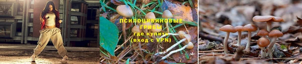 соль курить ск Елабуга
