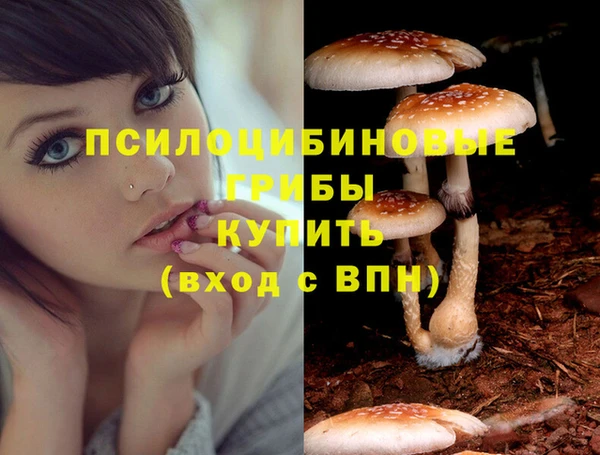 наркотики Ельня