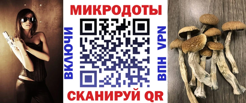 Галлюциногенные грибы MAGIC MUSHROOMS  Купить где  Ивдель 